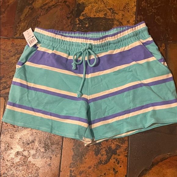 Wildfox Pants - Wildfox Teal and Blue Striped Athletic Shorts (175)
